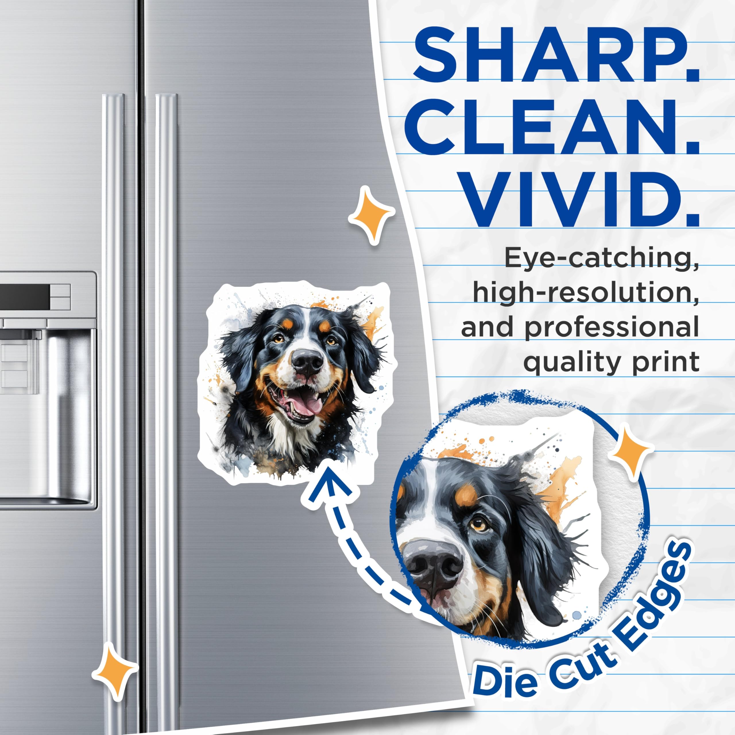 (2 Pack) Bernese Mountain Dog Magnets - Watercolor Dog Art Decor - Happy Berner Pet Owner Items - 5 Inches On Longest Side - Thick Durable Magnet - Made in USA - MAG30915