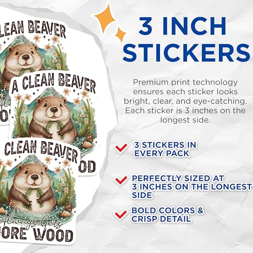 (3 Pack) Clean Beaver Decals - Funny Sarcastic Stickers - Adult Humor Saying - 3 Inches On Longest Side - Easy Peel & Apply - Made in USA - 3MCS8323
