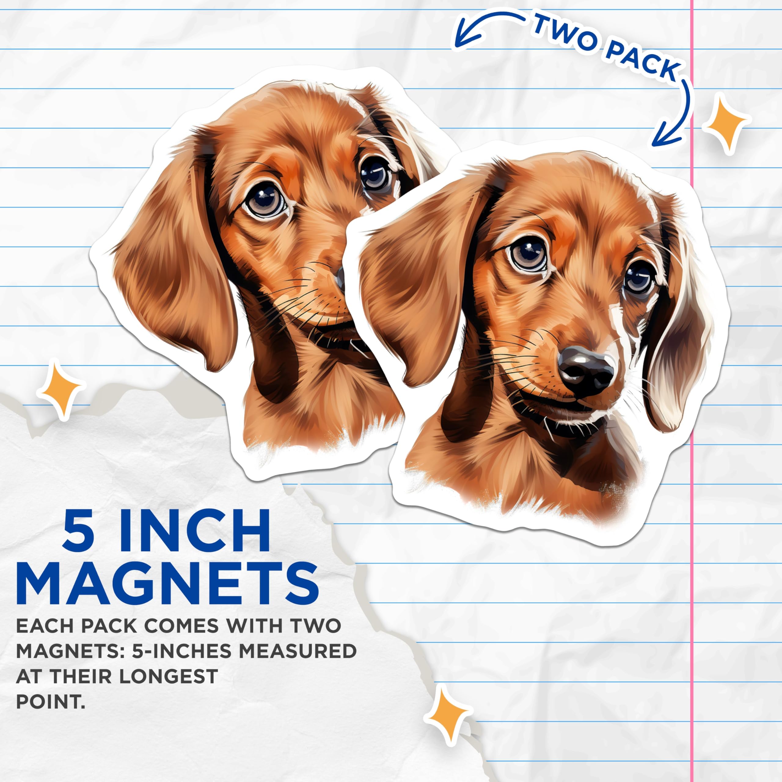 (2 Pack) Dachshund Magnets - Cute Puppy Decor - Dog Lover Collectible - 5 Inches On Longest Side - Thick Durable Magnet - Made in USA - MAG23705