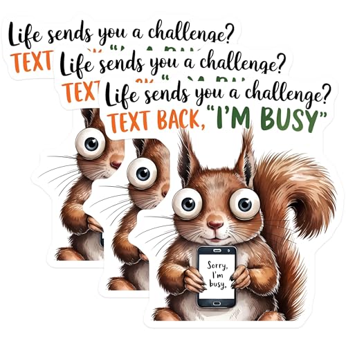 (3 Pack) Squirrel Decals - Funny Squirrel Saying - Laptop Decal - 3 Inches On Longest Side - Easy Peel & Apply - Made in USA - 3MCS4827