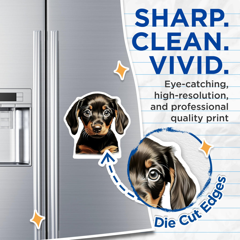 (2 Pack) Dachshund Puppy Magnets - Wiener Dog Art - Pet Lover Decor for Fridge Locker Vehicle - 5 Inches On Longest Side - Thick Durable Magnet - Made in USA - MAG29127