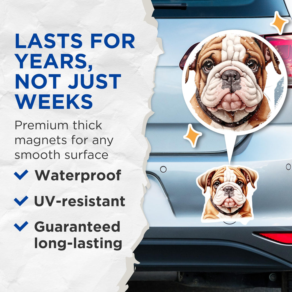 (2 Pack) Adorable English Bulldog Puppy Magnets - Cute Dog Lover Fridge Decor - Pet Owner Present - Locker Art - 5 Inches On Longest Side - Thick Durable Magnet - Made in USA - MAG25396