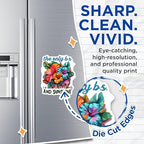 (2 Pack) The Only B.S. I Need is Beaches and Sunshine Magnets - Tropical Flower Magnet - Summer - Beach Quotes Magnet - 5" On Longest Side - for Cars, Fridges, Toolboxes - Made in USA - MAG4324