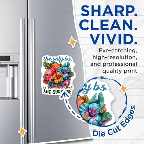 (2 Pack) The Only B.S. I Need is Beaches and Sunshine Magnets - Tropical Flower Magnet - Summer - Beach Quotes Magnet - 5" On Longest Side - for Cars, Fridges, Toolboxes - Made in USA - MAG4324