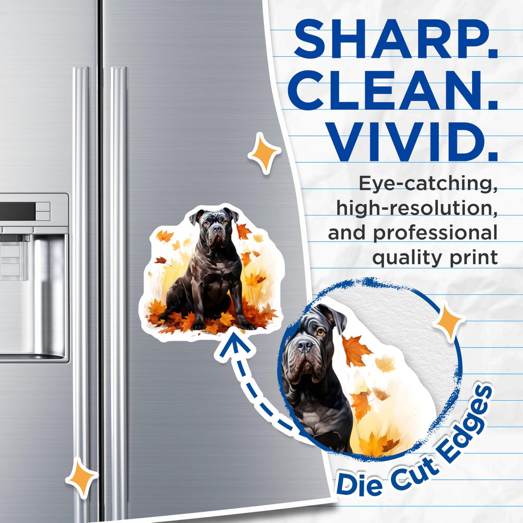 (2 Pack) Cane Corso Magnets - Autumn Dog Art Decor - Italian Mastiff Pet Owner Refrigerator Accessories - 5 Inches On Longest Side - Thick Durable Magnet - Made in USA - MAG29008