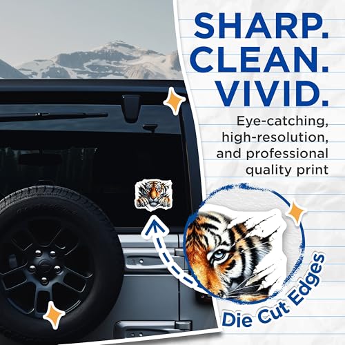 (2 Pack) Fierce Tiger Stickers - Animal Art - Wildlife Decal - 5" On Longest Side - Sticks to Smooth Flat Surfaces - Made in USA - BMCS6264