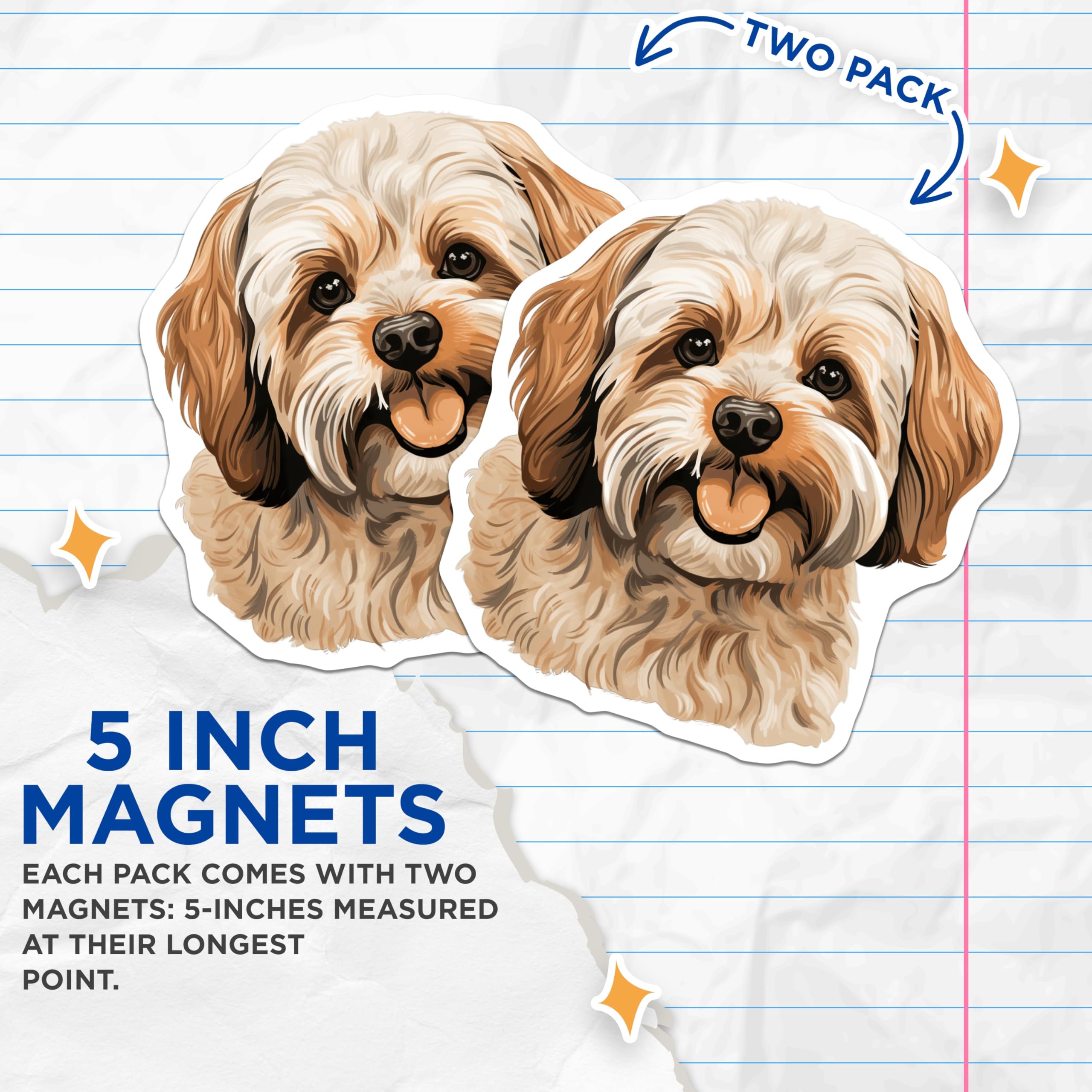 (2 Pack) Havanese Dog Magnets - Dog Mom Fridge Decor - Pet Owner Home Accessory - Animal Lover Kitchen Display - 5 Inches On Longest Side - Thick Durable Magnet - Made in USA - MAG28579