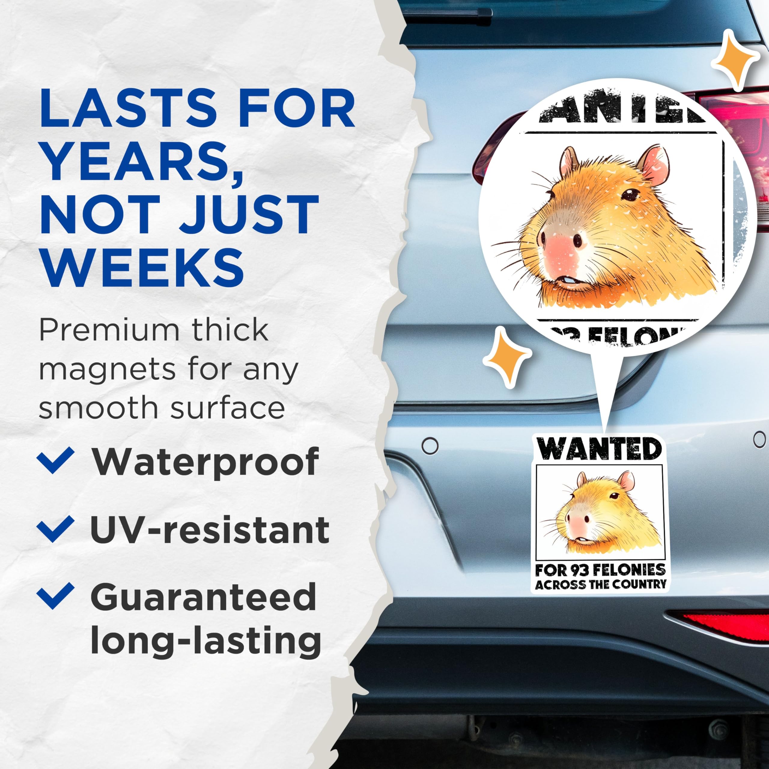 (2 Pack) Capybara Wanted 93 Felonies Magnets - Funny Capybara Joke Magnets - Animal Humor Fridge Magnets - 5" On Longest Side - for Cars, Refrigerators, Toolboxes, Lockers - Made in USA BMCS3255