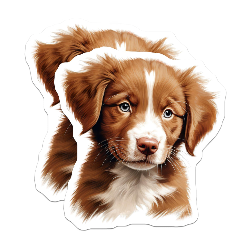 (2 Pack) Nova Scotia Duck Tolling Retriever Magnets - Cute Puppy Dog Art - Pet Lover Decor for Dog Moms - 5 Inches On Longest Side - Thick Durable Magnet - Made in USA - MAG28377