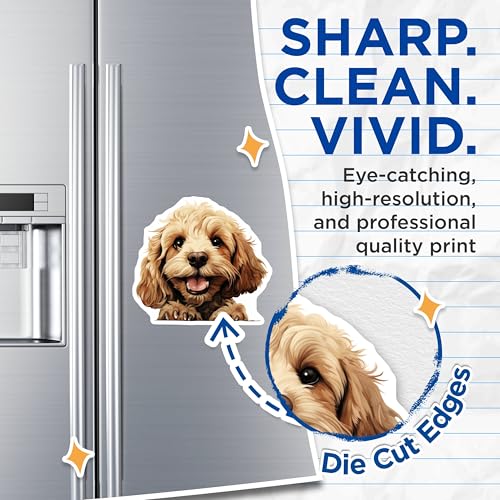(2 Pack) Puppy Decor Magnet - Pet Lovers Home Decor - 5" On Longest Side - Sticks to Smooth Flat Surfaces - Made in USA - MAG9938