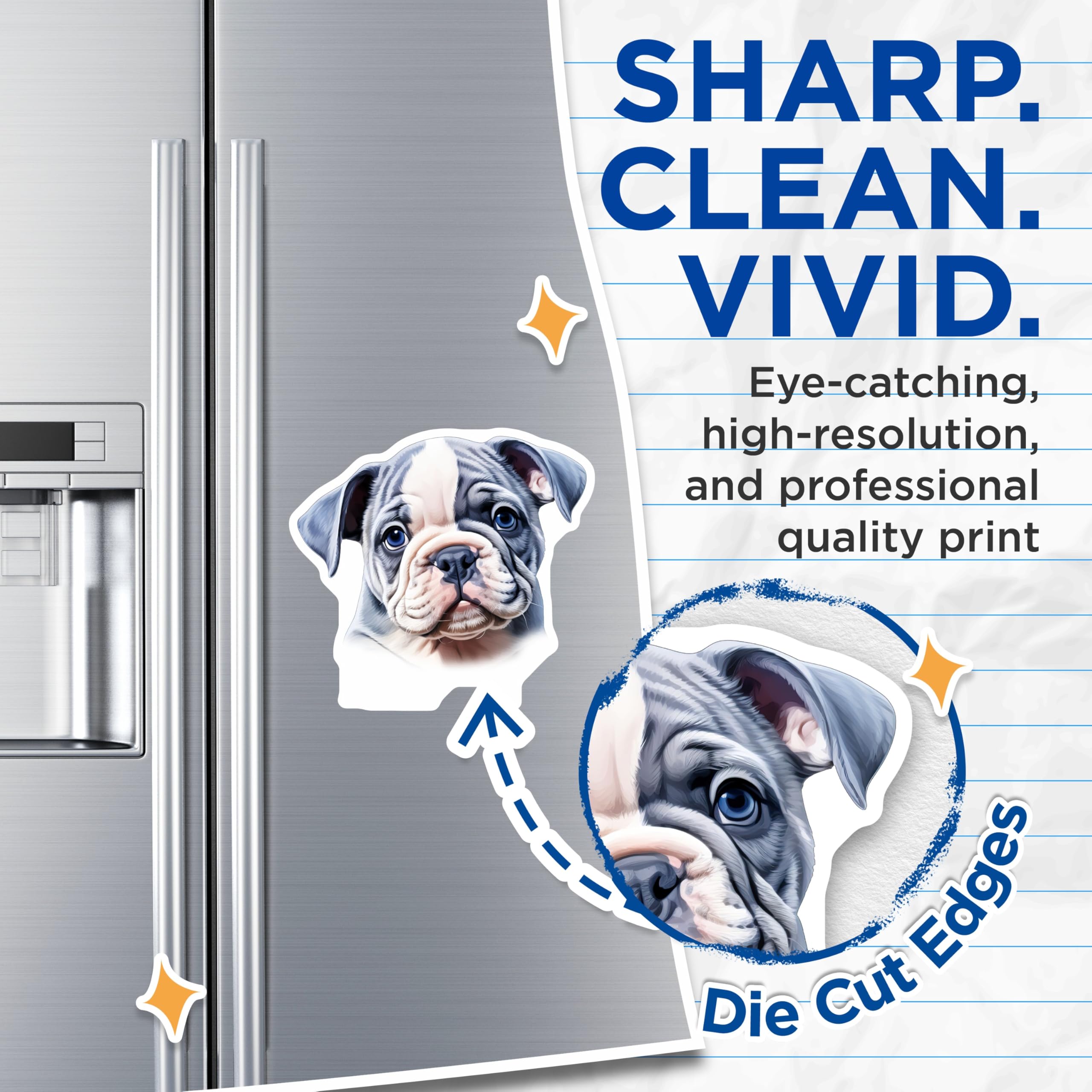 (2 Pack) Cute Bulldog Puppy Magnets - Blue Eyes Dog Decor - Pet Lover Fridge Locker - 5 Inches On Longest Side - Thick Durable Magnet - Made in USA - MAG26072
