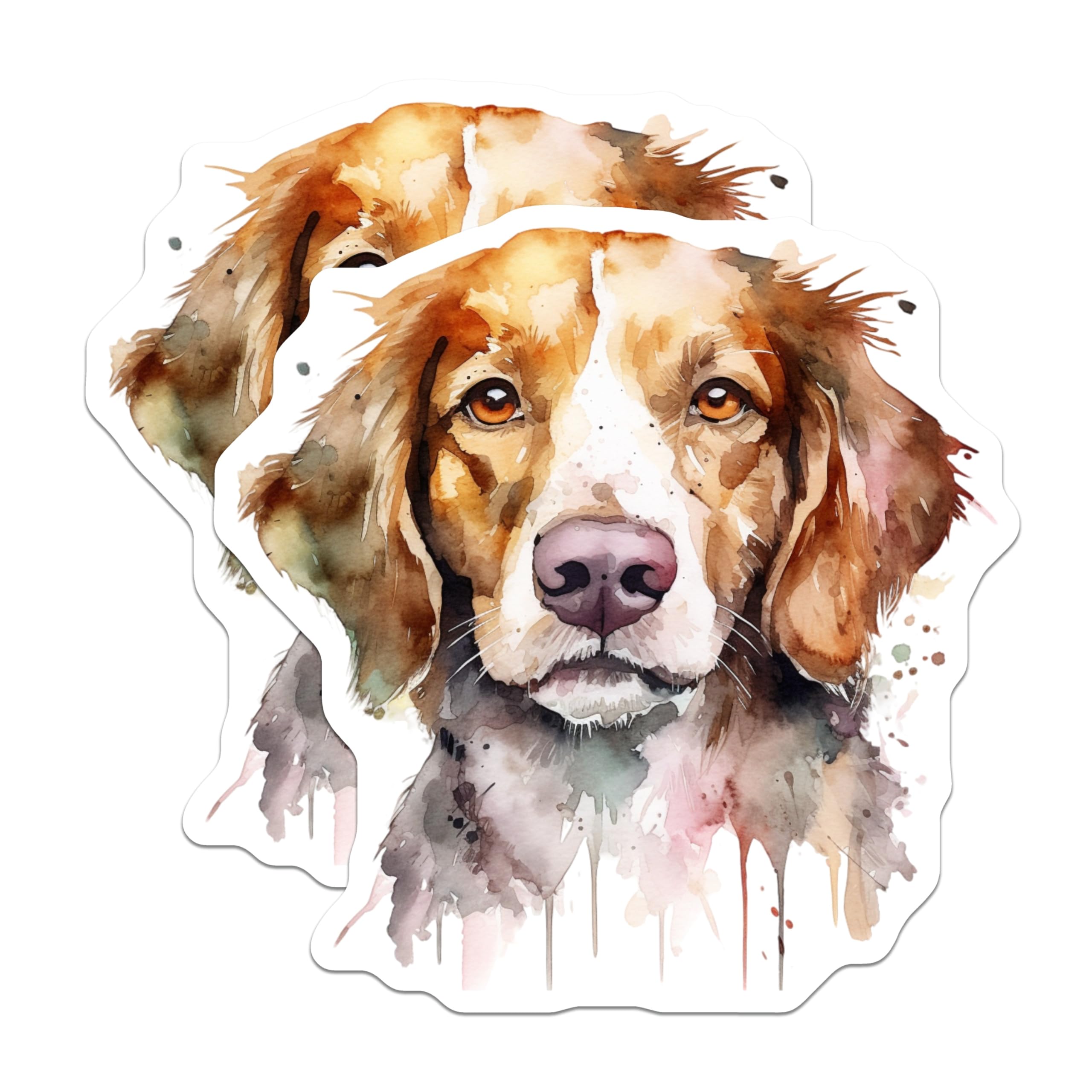 (2 Pack) Nova Scotia Toller Magnets - Watercolor Dog Art - Canine Fridge Decor - 5 Inches On Longest Side - Thick Durable Magnet - Made in USA - MAG24091