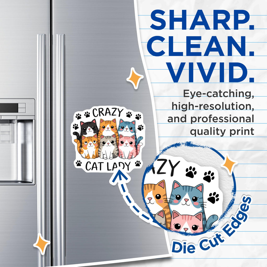 (2 Pack) Crazy Cat Lady Magnets - Six Adorable Feline Companions - Cat Mom Refrigerator Decor - Cute Pet Owner Display - 5 Inches On Longest Side - Thick Durable Magnet - Made in USA - MAG20819