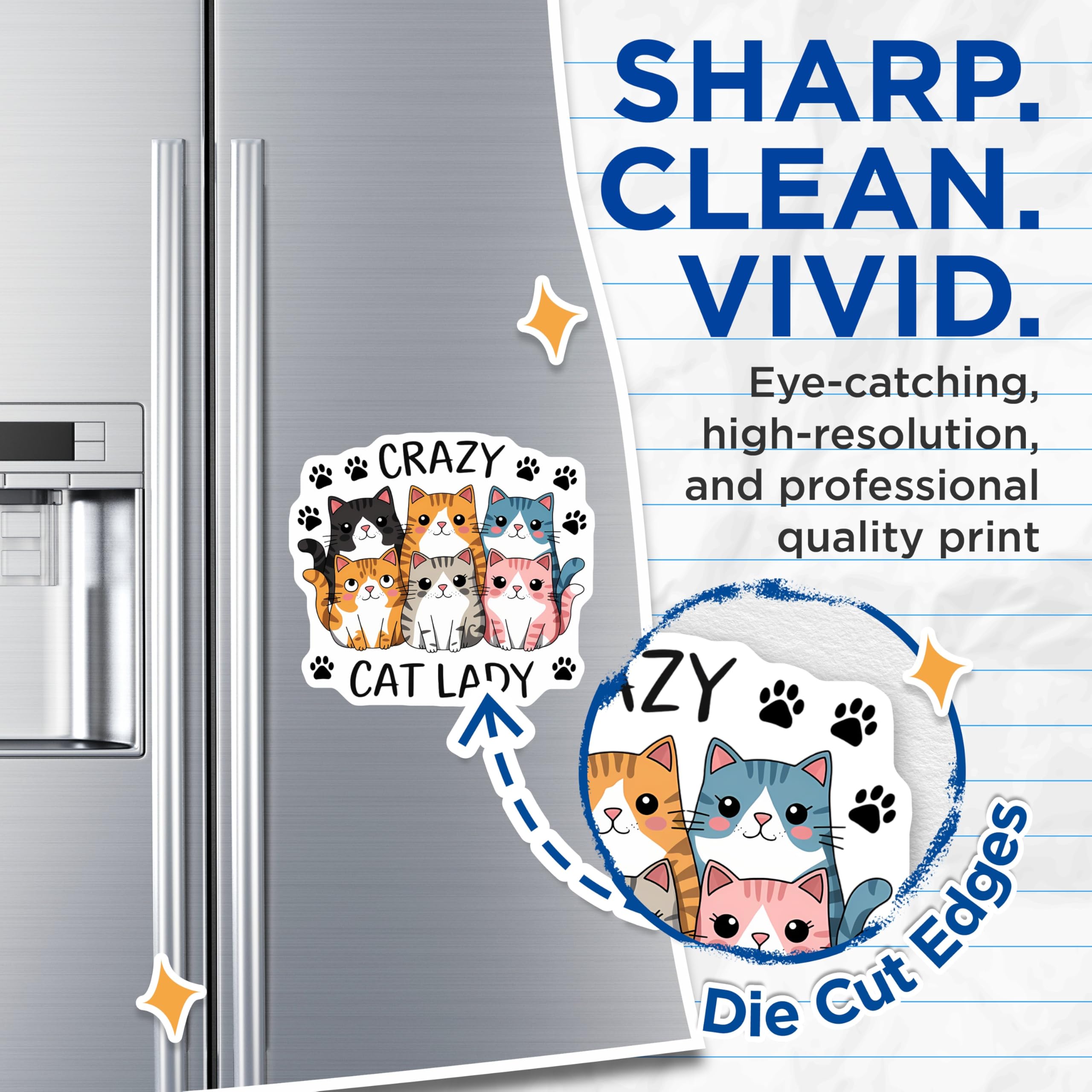 (2 Pack) Crazy Cat Lady Magnets - Six Adorable Feline Companions - Cat Mom Refrigerator Decor - Cute Pet Owner Display - 5 Inches On Longest Side - Thick Durable Magnet - Made in USA - MAG20819