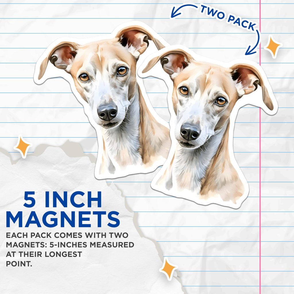 (2 Pack) Whippet Magnets - Dog Lover Decor - Pet Art Collectible - 5 Inches On Longest Side - Thick Durable Magnet - Made in USA - MAG24191