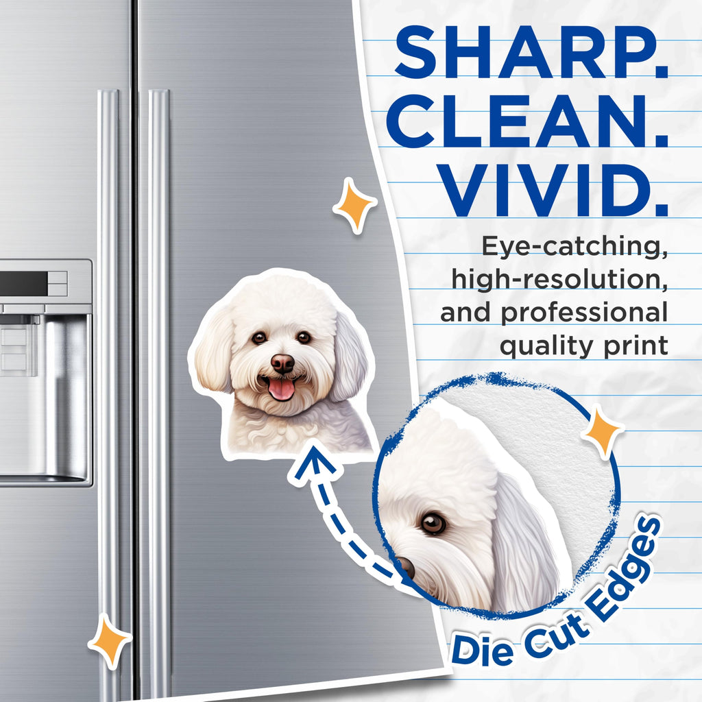 (2 Pack) Bichon Frise Dog Magnets - White Fluffy Puppy Lover Decor - Pet Parent Refrigerator Art - 5 Inches On Longest Side - Thick Durable Magnet - Made in USA - MAG27701