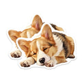 (2 Pack) Corgi Fridge Decor Magnet - 5" On Longest Side - Sticks to Smooth Flat Surfaces - Made in USA - MAG10246