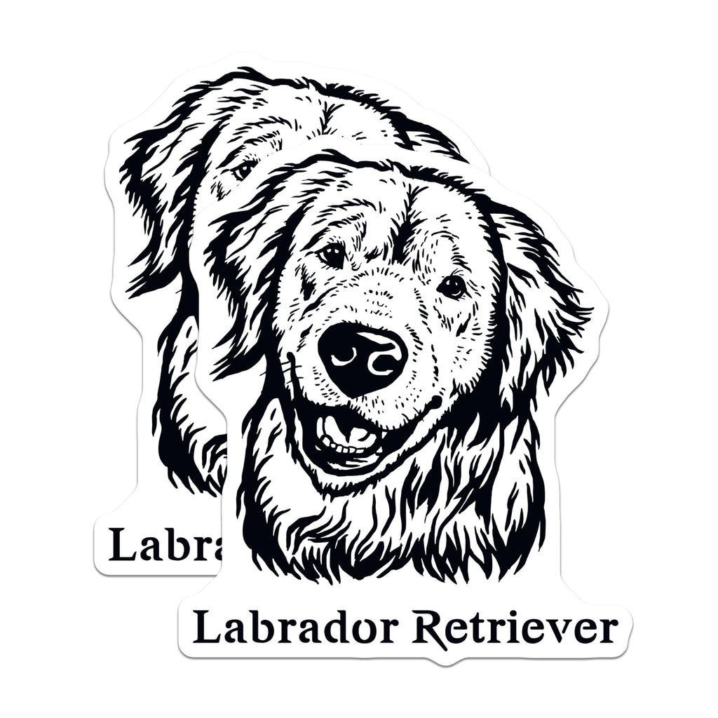 (2 Pack) Labrador Retriever Stickers - Cute Dog Decals - Animal Lover Stickers - 5" On Longest Side - Sticks to Smooth Flat Surfaces - Made in USA - BMCS4014