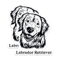(2 Pack) Labrador Retriever Stickers - Cute Dog Decals - Animal Lover Stickers - 5" On Longest Side - Sticks to Smooth Flat Surfaces - Made in USA - BMCS4014