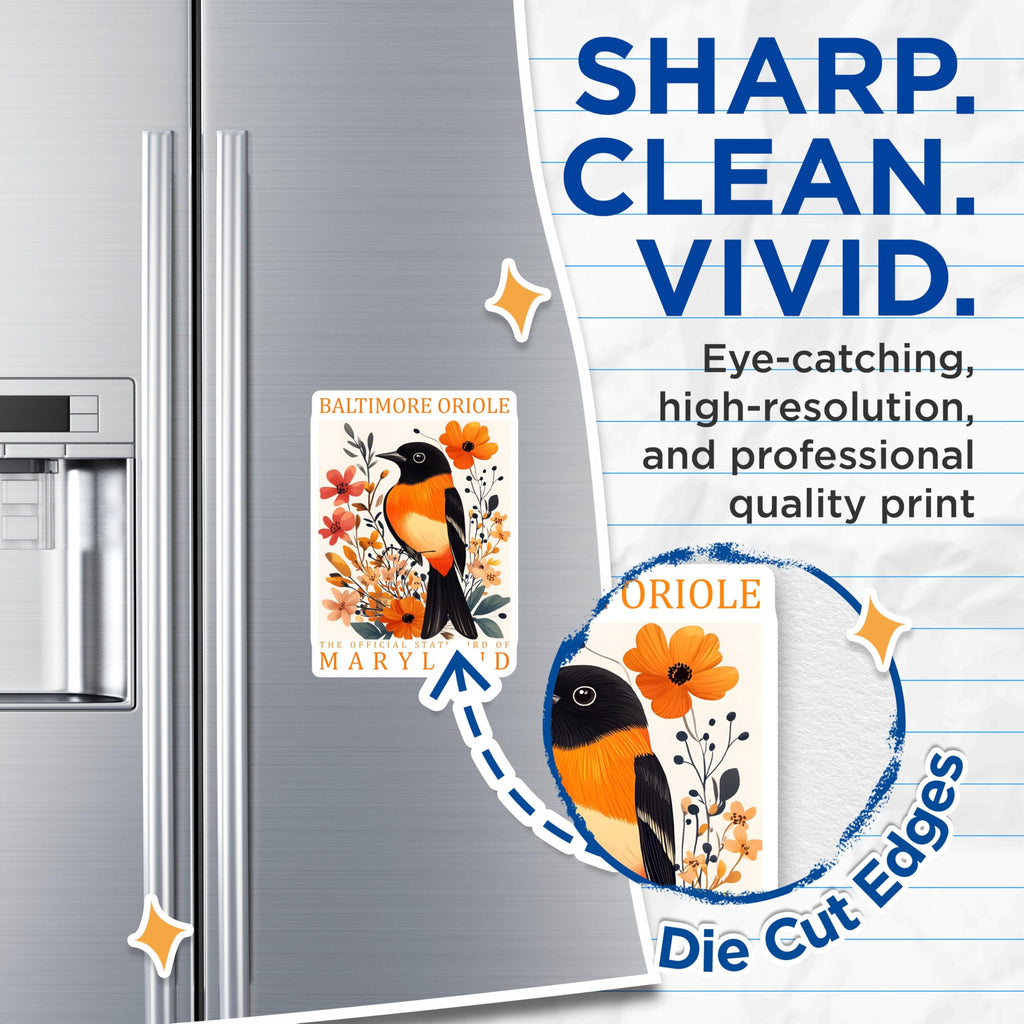 (2 Pack) Baltimore Oriole Magnets - Maryland State Bird - Floral Art Decor - 5" On Longest Side - Premium Magnet - for Cars, Refrigerators, Toolboxes, Lockers - Made in USA - MAG18157
