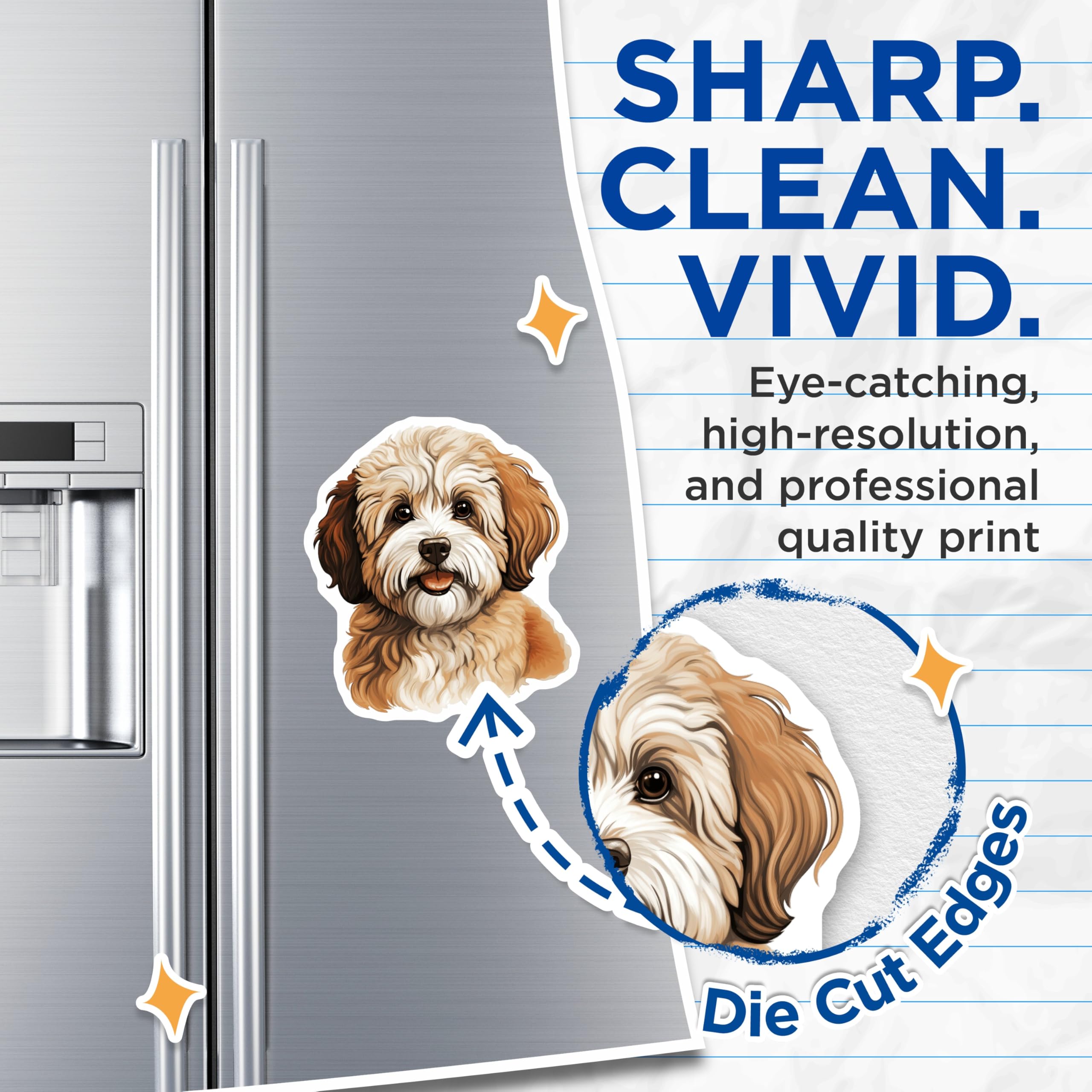 (2 Pack) Havanese Dog Magnets - Adorable Puppy Pet Decor - Cute Animal Fridge Accent - 5 Inches On Longest Side - Thick Durable Magnet - Made in USA - MAG24555