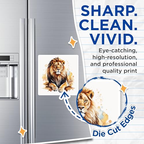 (2 Pack) Lion Magnets Magnets - Lion Animal Art - Wildlife Refrigerator Decor - 5" On Longest Side - Made in USA - Sticks to Refrigerators & Metal Surfaces - MAG8698