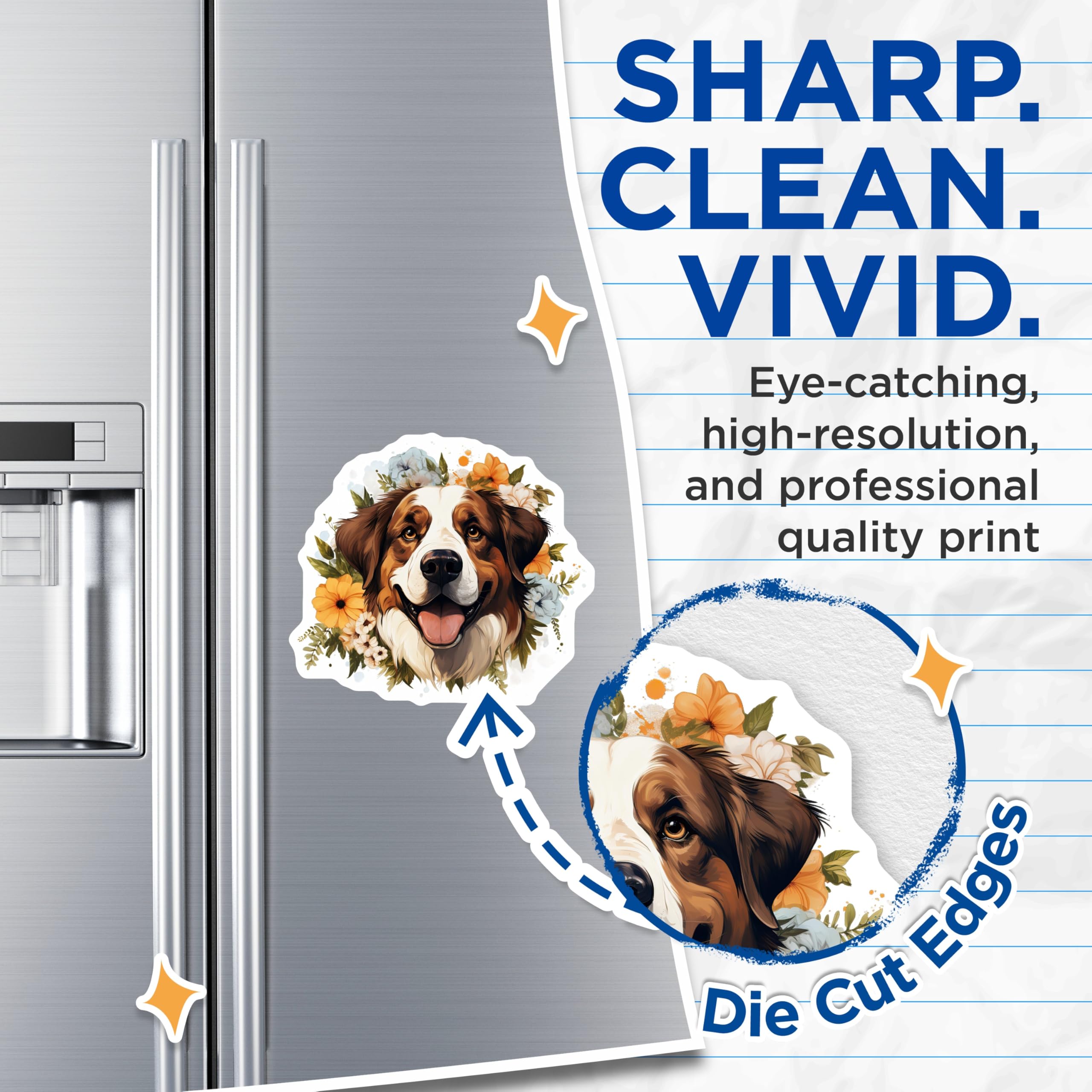 (2 Pack) Bernese Mountain Dog Magnets - Floral Dog Art - Pet Lover Decor - 5 Inches On Longest Side - Thick Durable Magnet - Made in USA - MAG27607