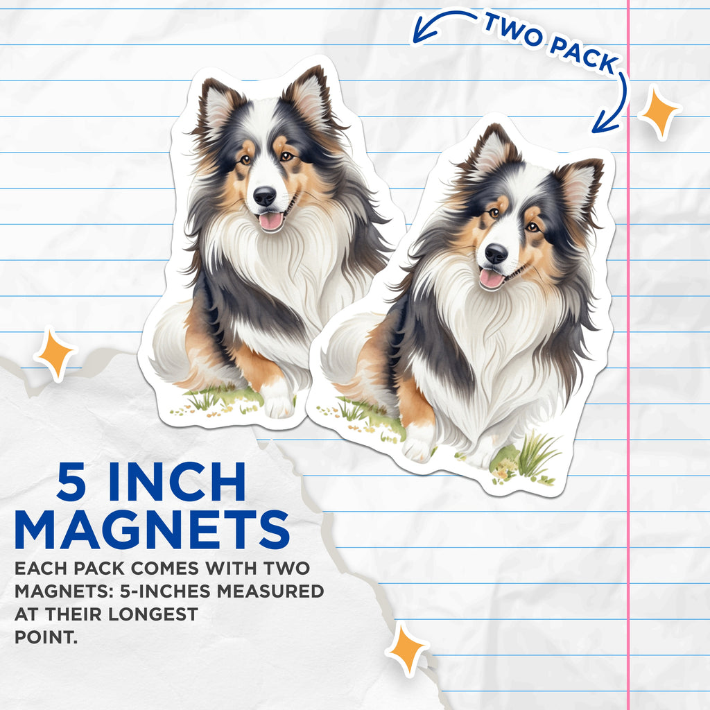 (2 Pack) Sheltie Dog Magnets - Shetland Sheepdog Owner - Watercolor Animal Art Decor - 5 Inches On Longest Side - Thick Durable Magnet - Made in USA - MAG38728