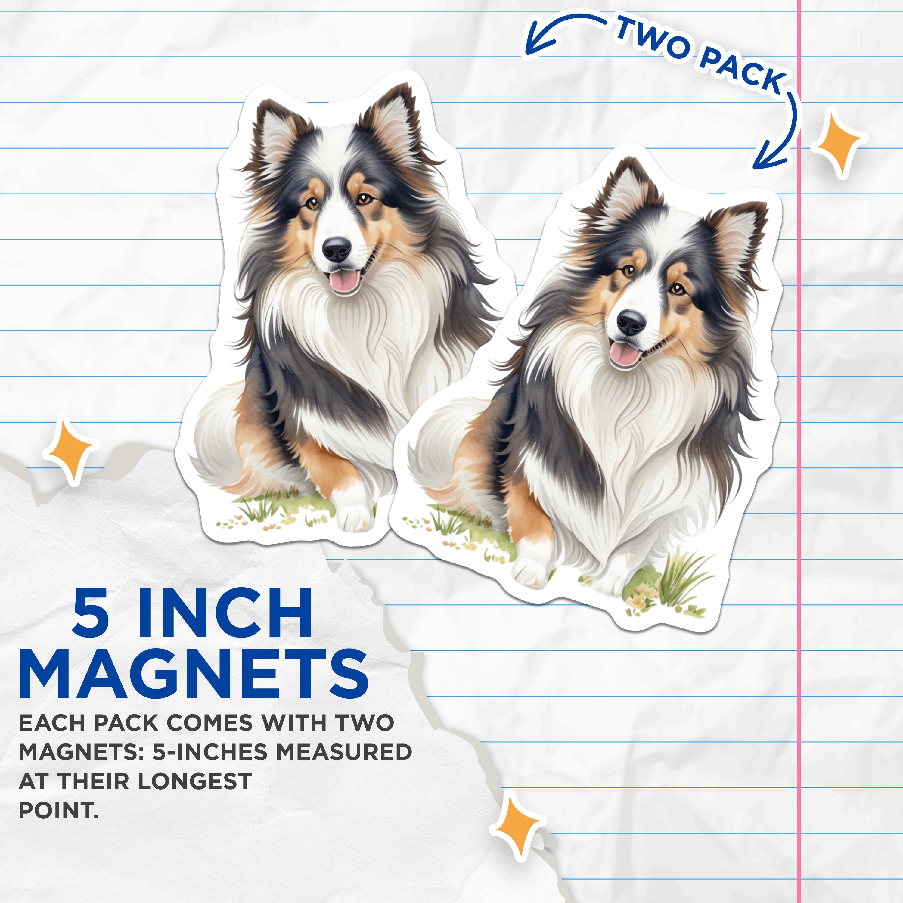 (2 Pack) Sheltie Dog Magnets - Shetland Sheepdog Owner - Watercolor Animal Art Decor - 5 Inches On Longest Side - Thick Durable Magnet - Made in USA - MAG38728