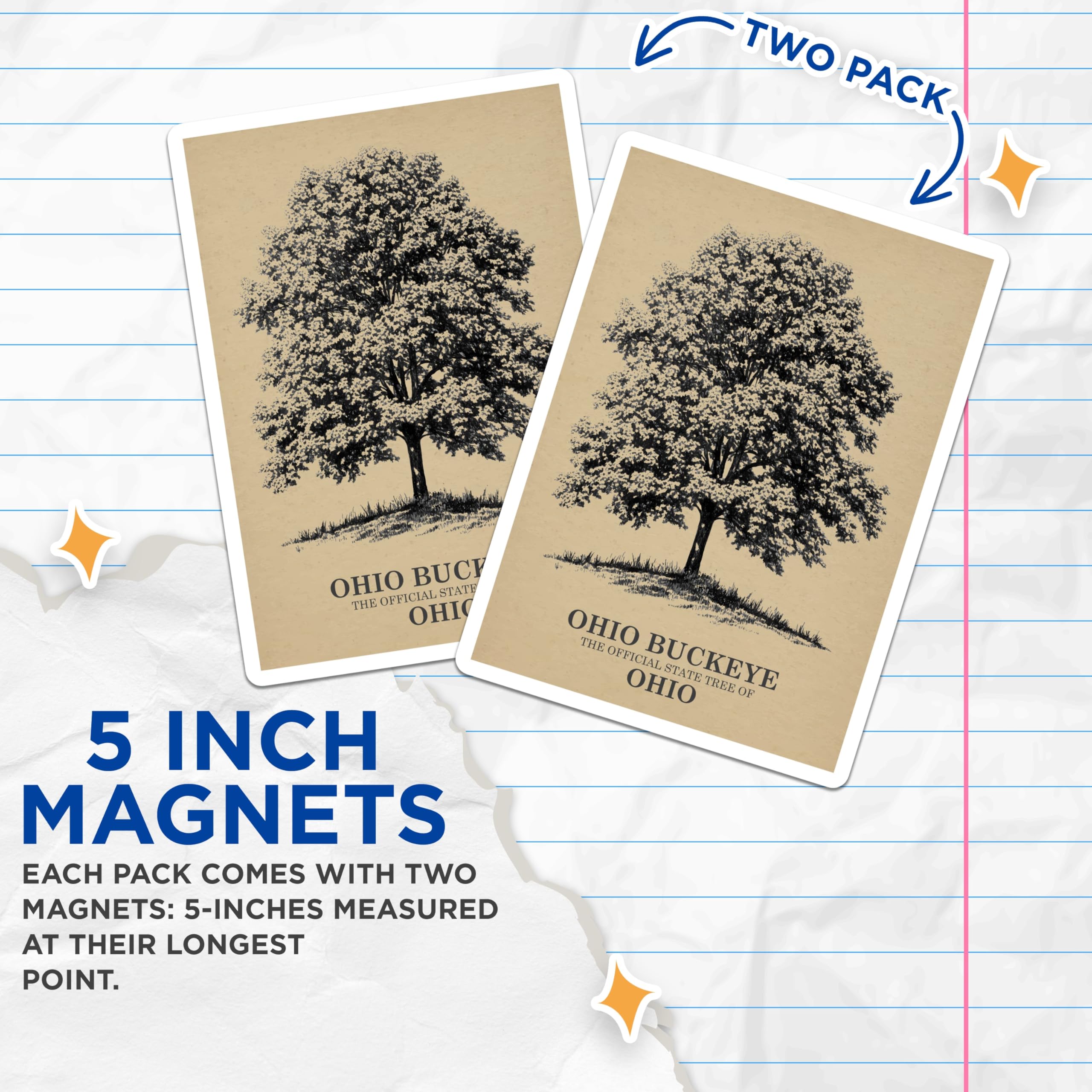 (2 Pack) Ohio Buckeye Tree Magnets - State Tree of Ohio - Botanical Illustration Decor - 5 Inches On Longest Side - Thick Durable Magnet - Made in USA - MAG19062