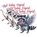 (3 Pack) Not Today Cupid Decals - Valentine Raccoon with Bow Arrow - Funny Cupid - 3 Inches On Longest Side - Easy Peel & Apply - Made in USA - 3MCS1803