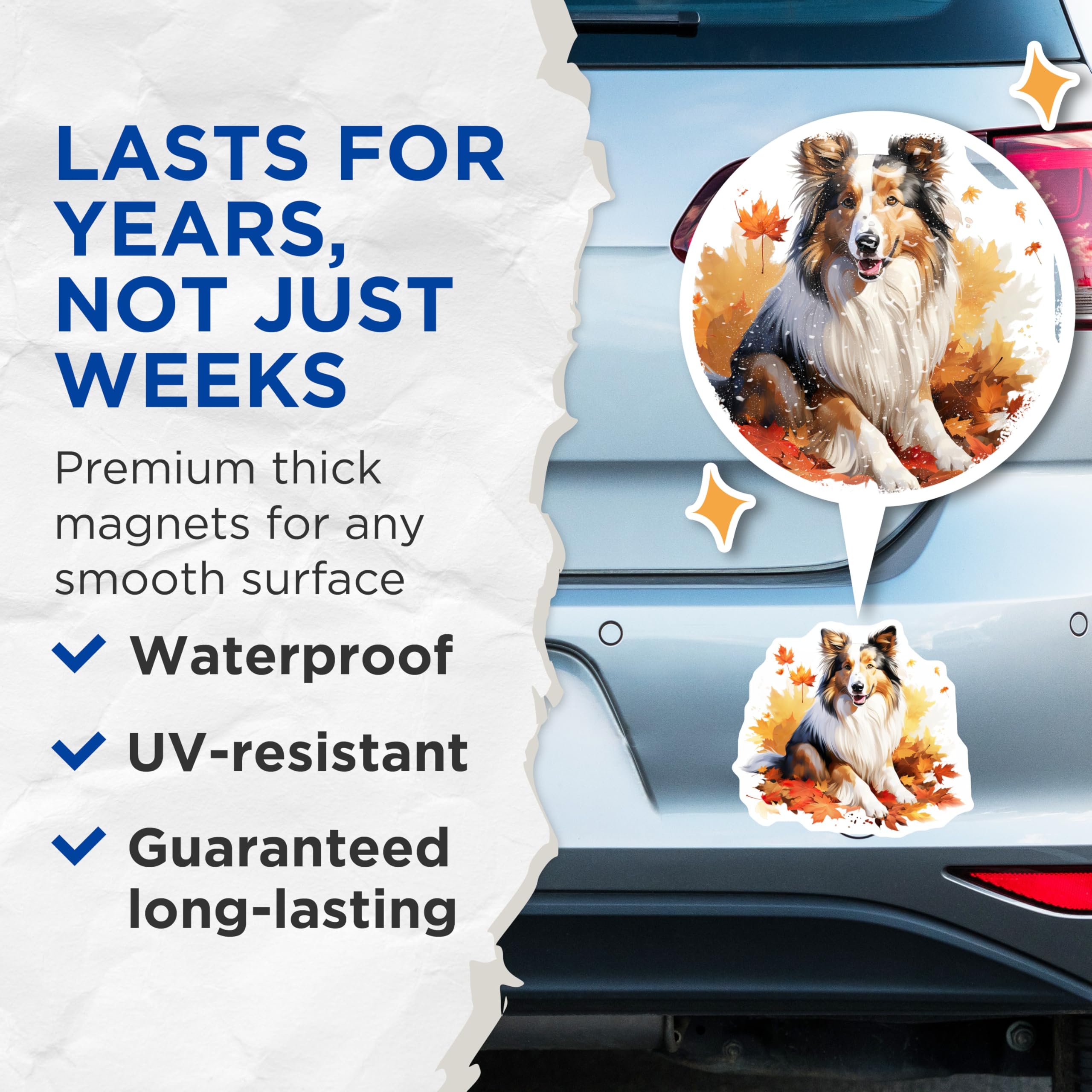(2 Pack) Sheltie Dog Magnets - Autumn Leaves Decor - Fall Seasonal Pet Art - Collie Dog Lover Refrigerator Magnet - 5 Inches On Longest Side - Thick Durable Magnet - Made in USA - MAG29487