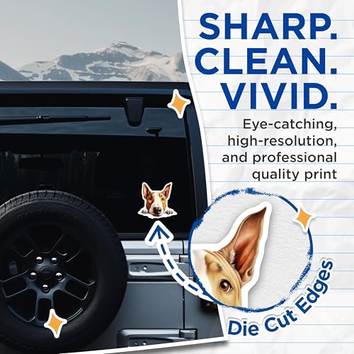 (2 Pack) Bull Terrier Dog Stickers - Animal Lover Decal - Cute Pet Dog Decoration - 5" On Longest Side - Sticks to Smooth Flat Surfaces - Made in USA - BMCS9892