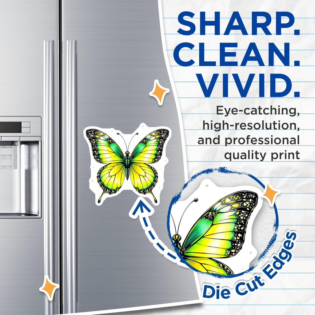 (2 Pack) Butterfly Magnets - Insect Refrigerator Magnets - Home Decor Magnets - 5" On Longest Side - Premium Magnet - for Cars, Refrigerators, Toolboxes, Lockers - Made in USA - MAG15824
