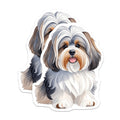 (2 Pack) Havanese Puppy Magnets - Watercolor Dog Art - Pet Lover Fridge Decor - 5 Inches On Longest Side - Thick Durable Magnet - Made in USA - MAG37833