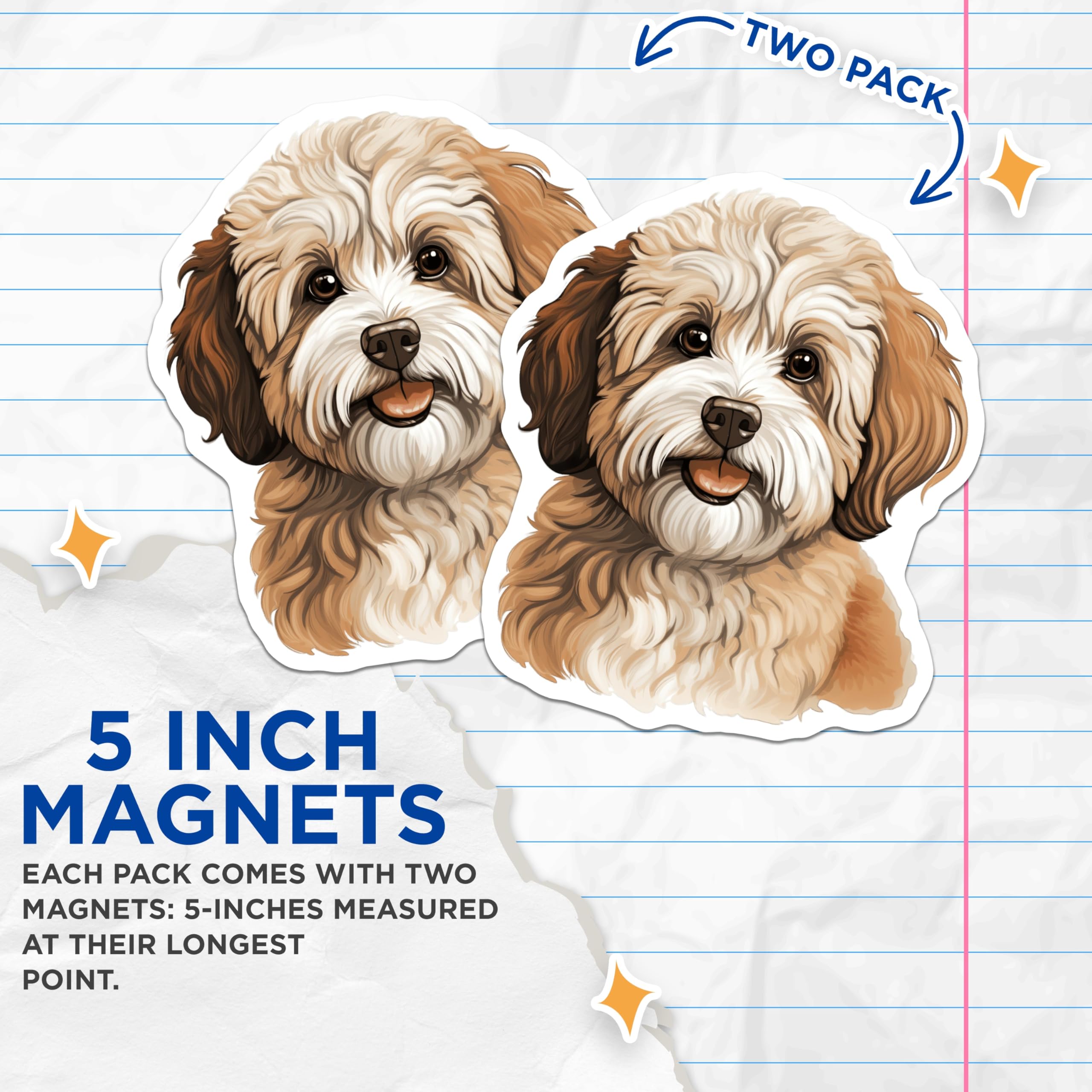 (2 Pack) Havanese Dog Magnets - Adorable Puppy Pet Decor - Cute Animal Fridge Accent - 5 Inches On Longest Side - Thick Durable Magnet - Made in USA - MAG24555