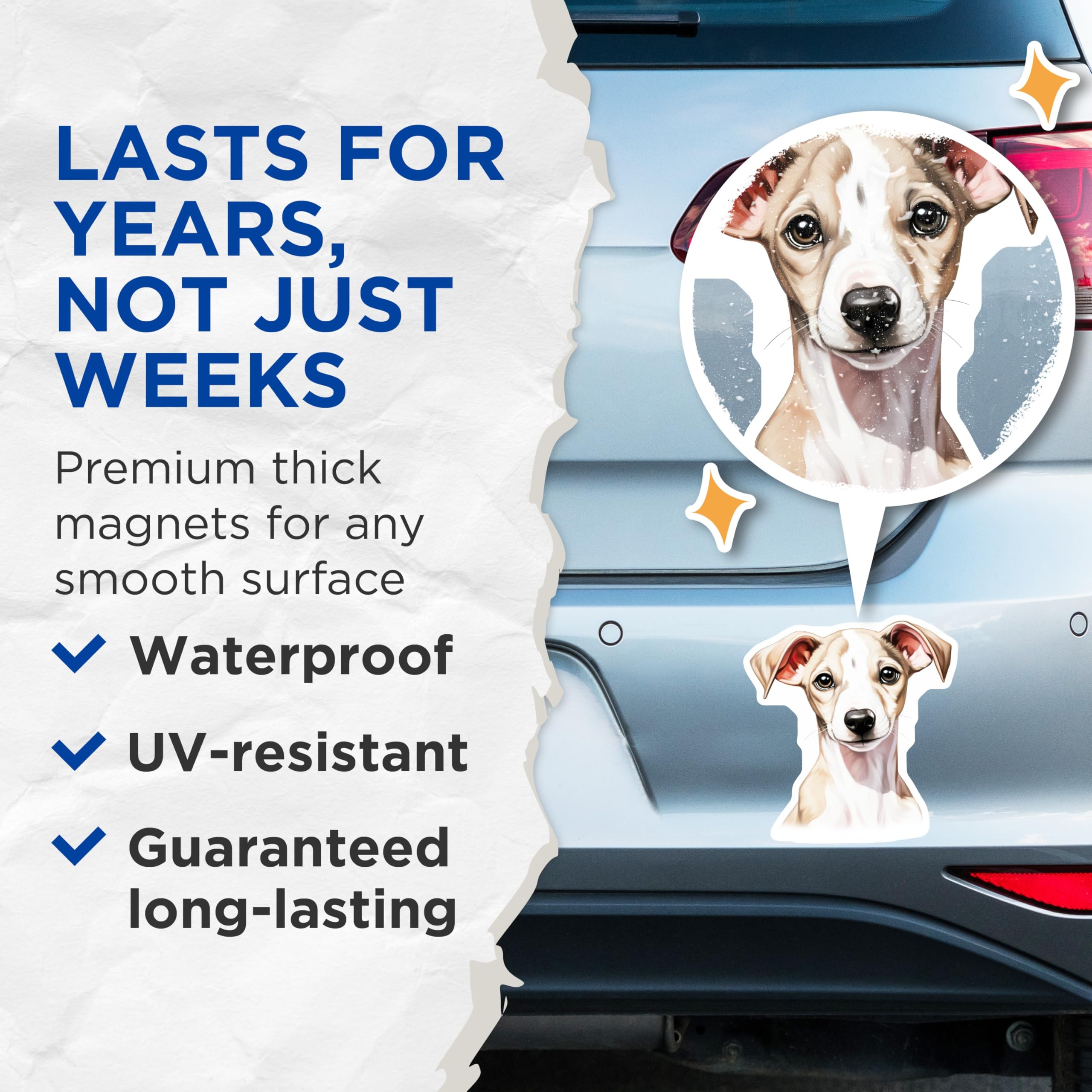 (2 Pack) Adorable Whippet Puppy Magnets - Sweet Italian Greyhound Dog Artwork - Cute Pet Lover Refrigerator Locker Accents - 5 Inches On Longest Side - Thick Durable Magnet - Made in USA - MAG30319