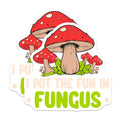 (2 Pack) Mushroom Magnets - Funny Fungus Sayings - Mycology Humor Fridge Decor - 5 Inches On Longest Side - Thick Durable Magnet - Made in USA - MAG19288