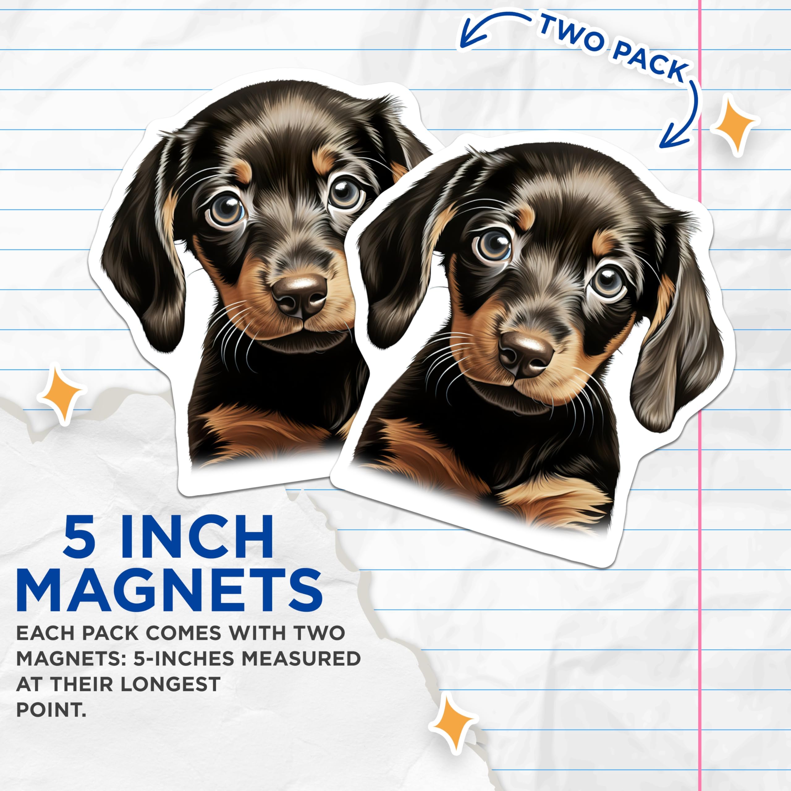 (2 Pack) Dachshund Puppy Magnets - Wiener Dog Art - Pet Lover Decor for Fridge Locker Vehicle - 5 Inches On Longest Side - Thick Durable Magnet - Made in USA - MAG29127