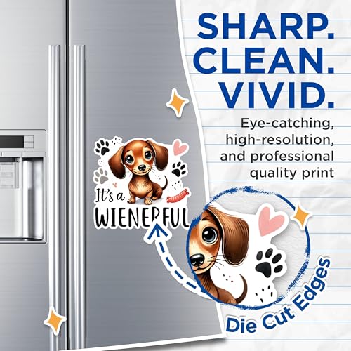 (2 Packs) It's A Wienerful Magnets - Funny Dachshund Weiner Dog Breed Magnets - 5 Inches On Longest Side - Premium Magnet - for Fridges, Toolboxes, Cars - Made in USA - MAG2374