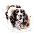 (2 Pack) Springer Spaniel Magnets - Dog Lover Pet Portrait - Watercolor Animal Fridge Magnets - 5 Inches On Longest Side - Thick Durable Magnet - Made in USA - MAG30228
