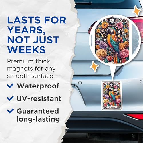 (2 Pack) Parrot Art Magnets - Floral Pattern Magnets - Colorful Bird Magnets for Home Office - 5" On Longest Side - for Cars, Fridges, Toolboxes - Made in USA - MAG4480
