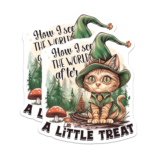 (2 Pack) How I See The World After Stickers - Funny Cat Stickers - Whimsical Cat Art Stickers - 5" On Longest Side - Sticks to Smooth Flat Surfaces - Made in USA - BMCS4349