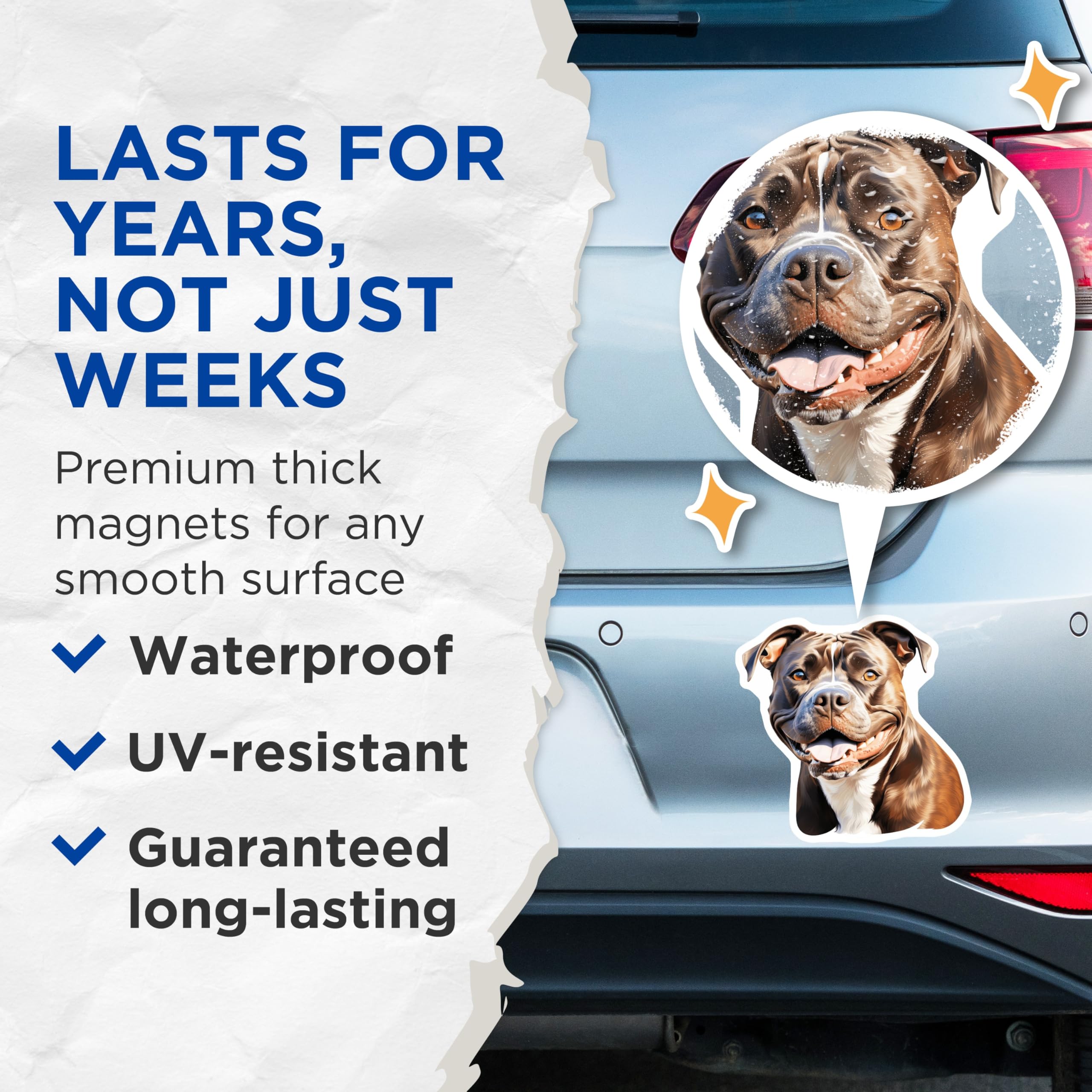 (2 Pack) Happy Pitbull Magnets - Brown White Pit Bull Smile - Dog Owner Fridge Decor - 5 Inches On Longest Side - Thick Durable Magnet - Made in USA - MAG24404