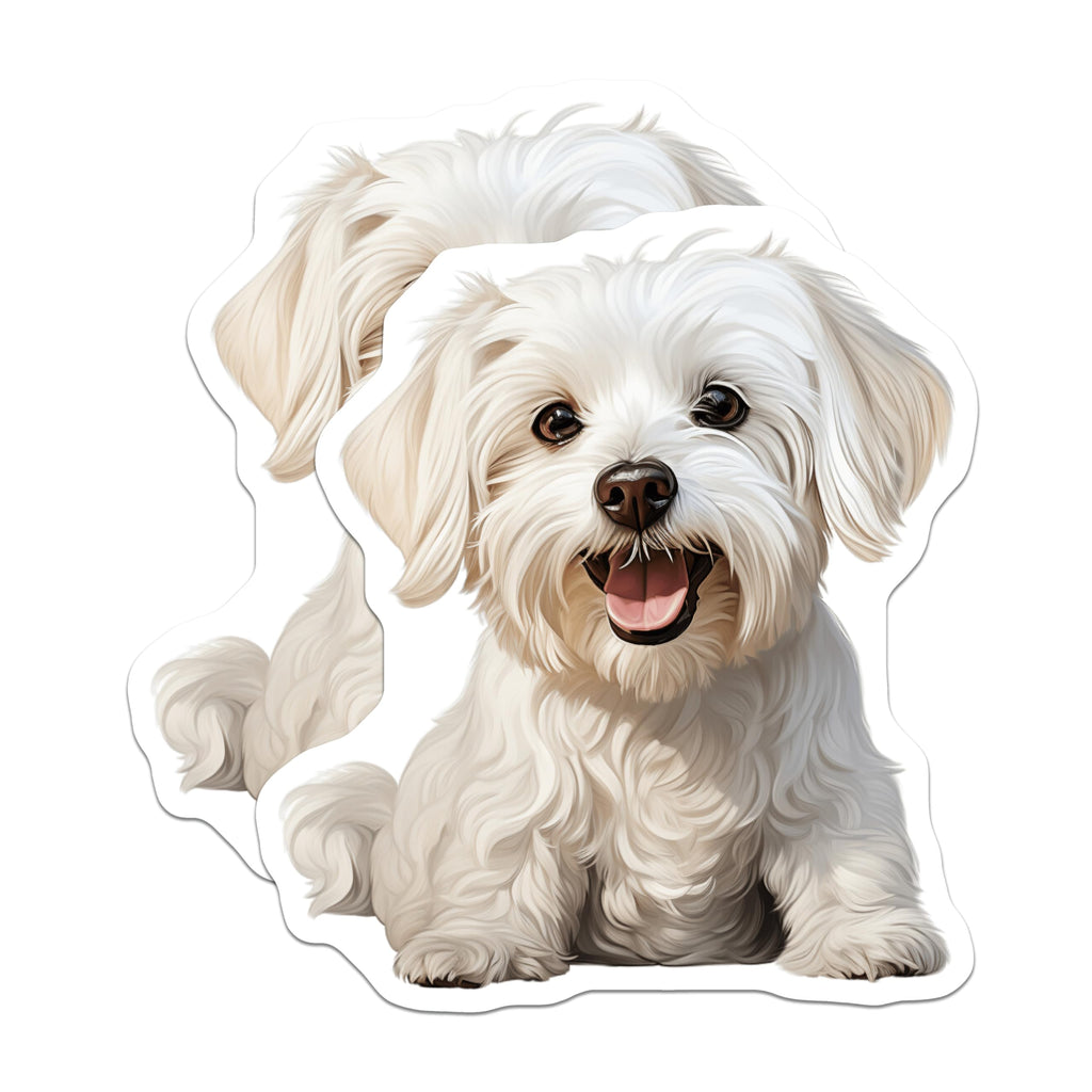 (2 Pack) Cute Maltese Dog Magnets - Happy White Fluffy Puppy Art - Dog Mom Refrigerator Decor - Pet Owner Kitchen Accessory - 5 Inches On Longest Side - Thick Durable Magnet - Made in USA - MAG25331