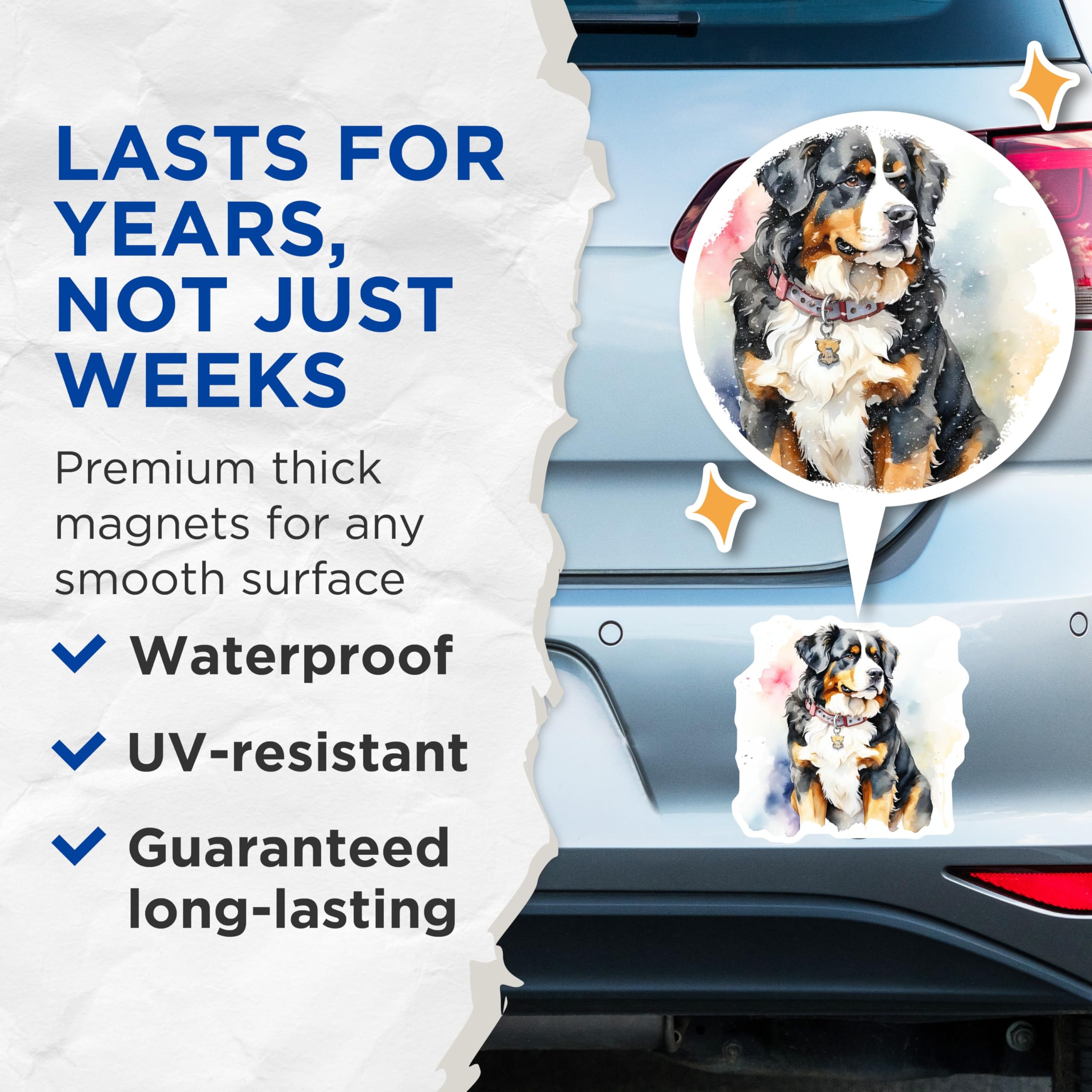 (2 Pack) Bernese Mountain Dog Magnets - Cute Dog - Home Decor - 5" On Longest Side - Premium Magnet - for Cars, Refrigerators, Toolboxes, Lockers - Made in USA - MAG15876