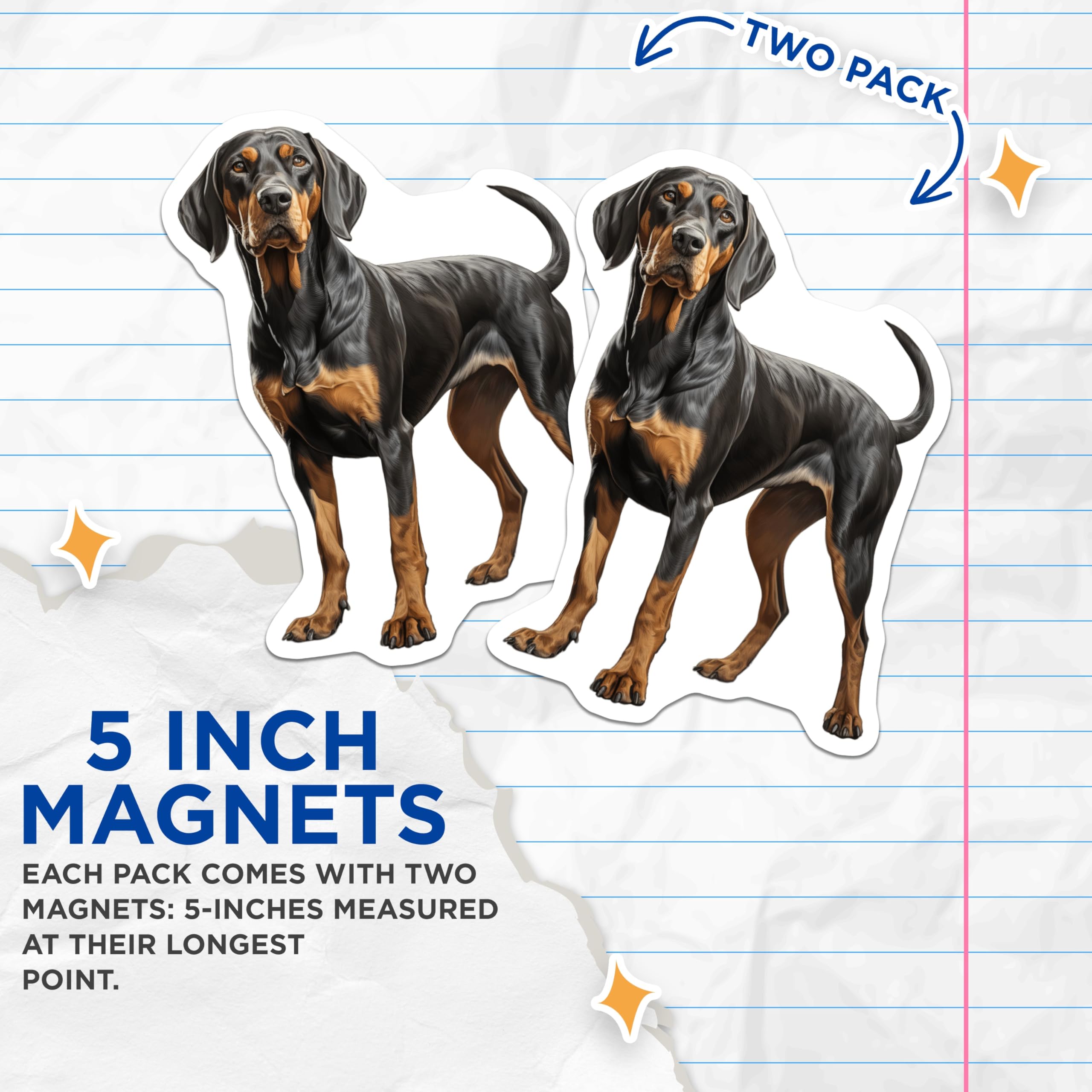 (2 Pack) Black and Tan Coonhound Magnets - Dog Owner Refrigerator Decor - Hound Dog Lover Home Accents - 5 Inches On Longest Side - Thick Durable Magnet - Made in USA - MAG28469