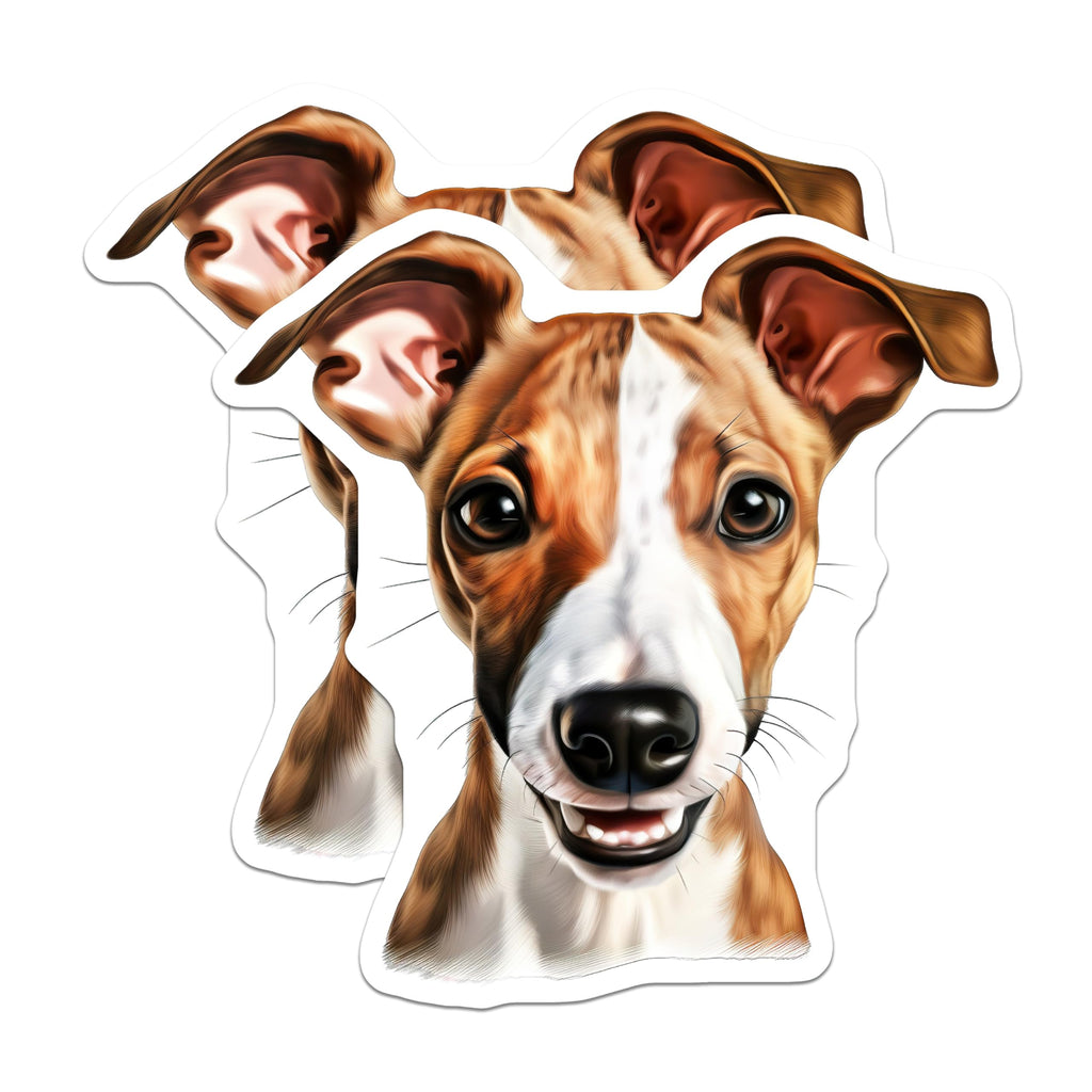(2 Pack) Italian Greyhound Magnets - Smiling Dog Decor - Pet Lover Accessory - 5 Inches On Longest Side - Thick Durable Magnet - Made in USA - MAG29004