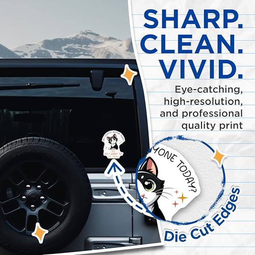 (2 Pack) Did I Scratch Anyone Today Stickers - Cute Cat Meme - Funny Animal Joke - 5" On Longest Side - Sticks to Smooth Flat Surfaces - Made in USA - BMCS7336