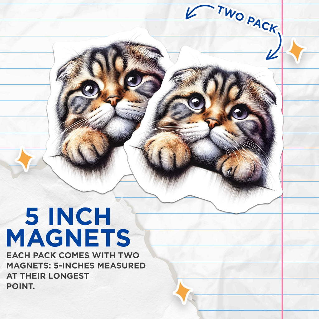(2 Pack) Scottish Fold Cat Magnets - Adorable Kitten Fridge Decor - Cute Cat Lover Present - 5" On Longest Side - Premium Magnet - for Cars, Refrigerators, Toolboxes, Lockers - Made in USA - MAG15088
